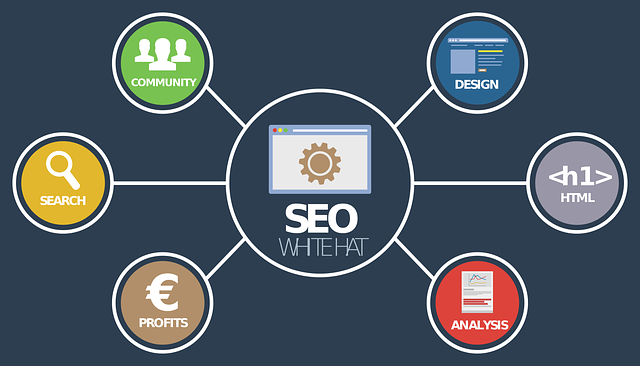 SEO Automation Tools